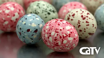 Discover the Power of Chinese Manufacturing: Your Source for the Best Fertile Hatching Eggs Worldwide