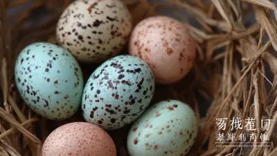 Chinese Precision Crafting Global Demand for Premium Hatching Eggs