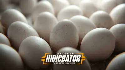 Unlocking Success: Top Examples of Using the Best Incubator Egg Turner for Maximum Hatching Efficiency